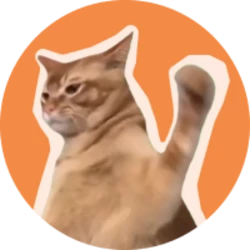 CatSlap