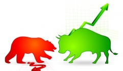 byci-a-medvedi-formace-241x140