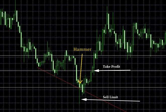 hammer forex